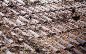 Hanging Bank roof cleaning companies